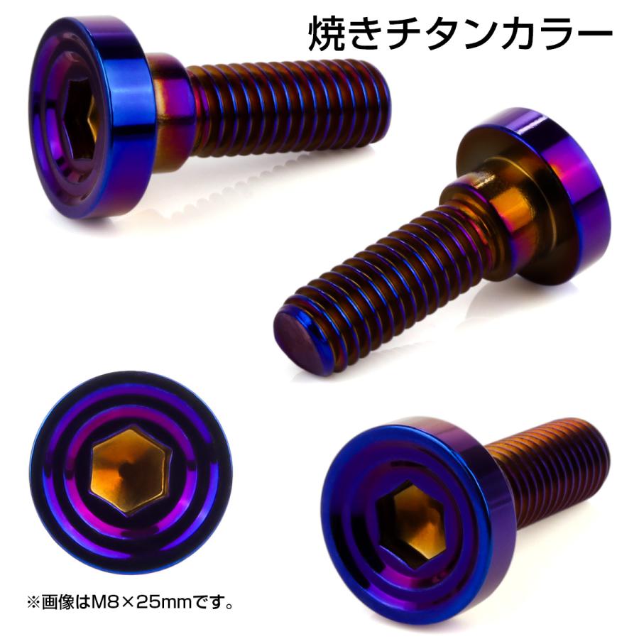 ブレーキ ディスクローター ボルト ホンダ用 M8×25mm P=1.25 ステンレス シェルヘッドフラット C1 焼きチタンカラー TD0153 | ホンダ | 02