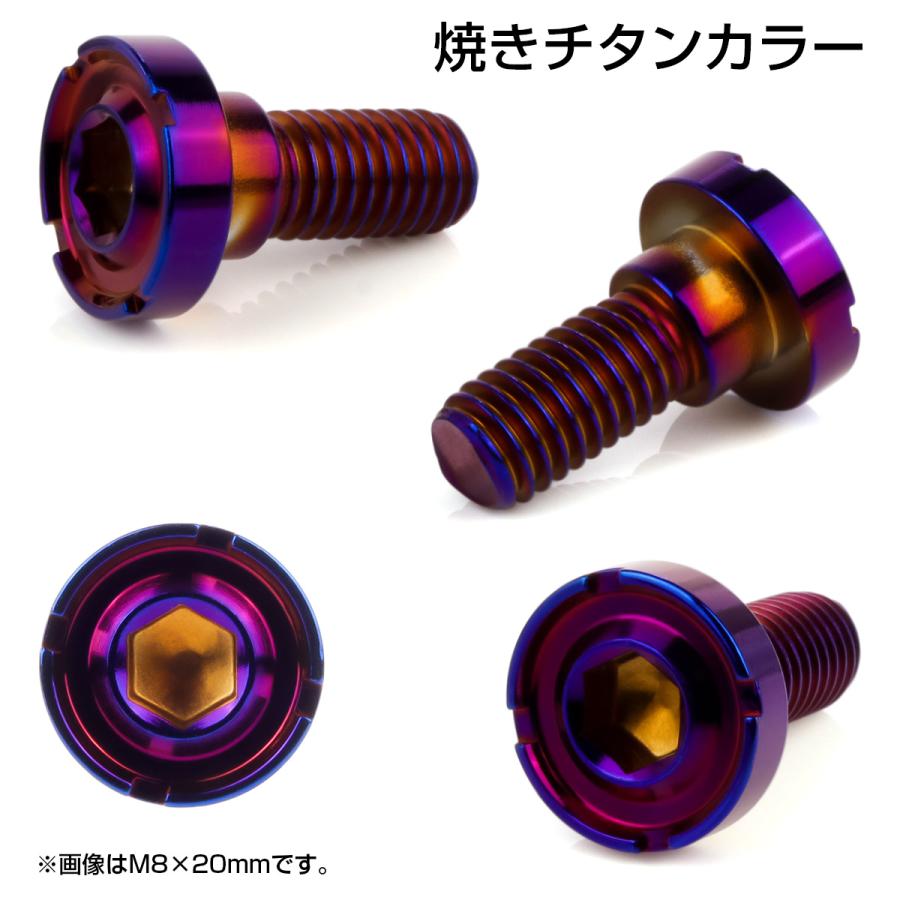 ブレーキ ディスクローター ボルト ホンダ用 M8×25mm P=1.25 ステンレス デザインヘッドフラット C2 焼きチタンカラー TD0171 | ホンダ | 02