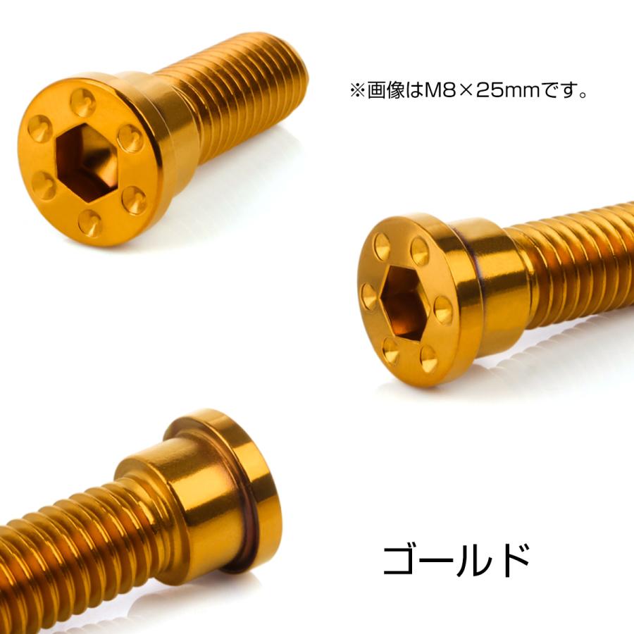 SUSステンレス製 M8×15mm P1.25 ブレーキ ディスク ローター ボルト ホールヘッド薄小 ホンダ車用 ゴールド TD0277 | ホンダ | 02