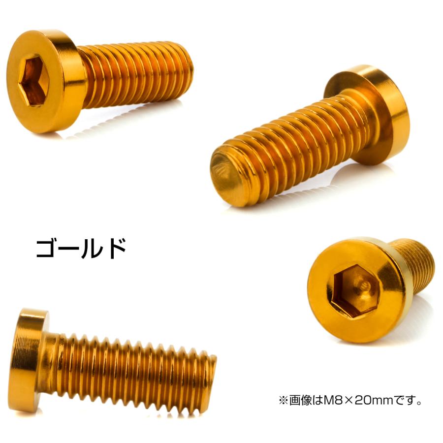 ブレーキ ディスクローター ボルト ヤマハ用 M8×20mm P1.25 ステンレス フラットヘッド小 ゴールド TD0296 | ヤマハ発動機 | 02