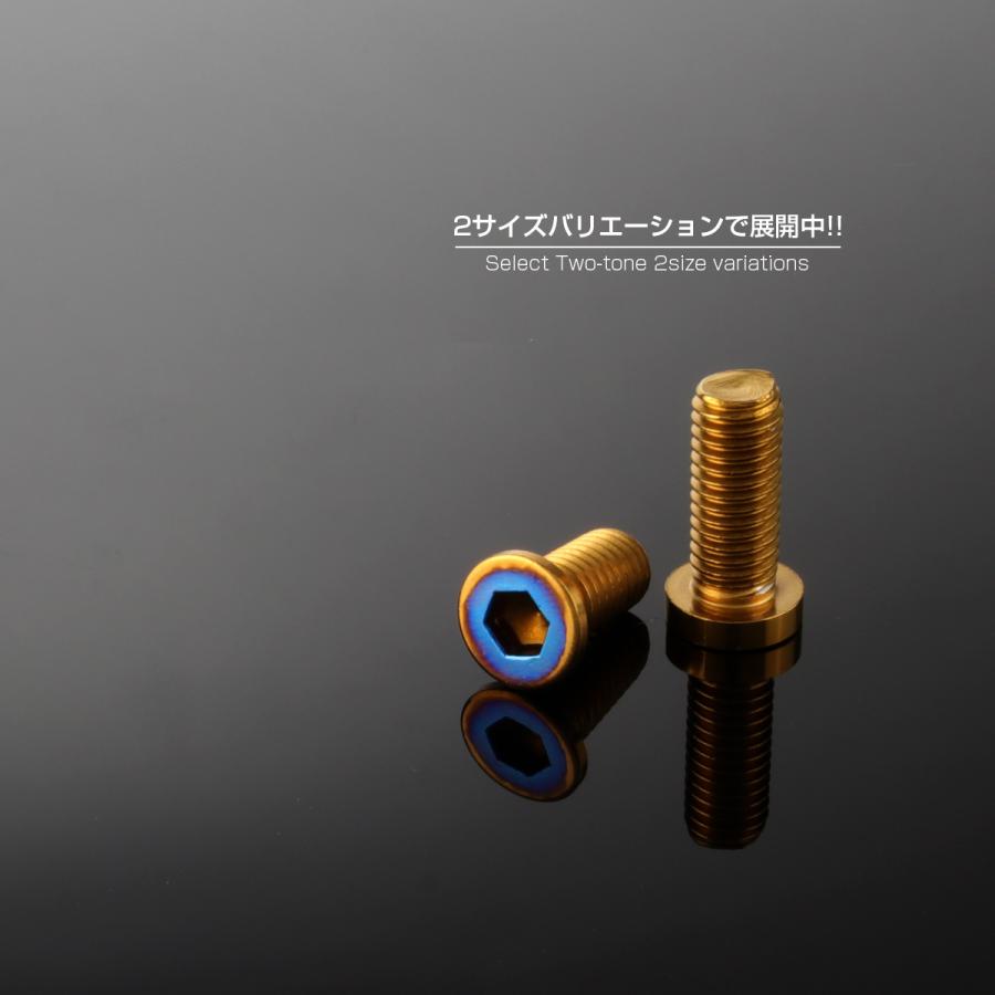 ブレーキ ディスク ローター ボルト M8×20mm P1.25 フラットヘッド小 ヤマハ用 SUSステンレス製 ゴールド＆ブルー TD0328 | ヤマハ発動機 | 03