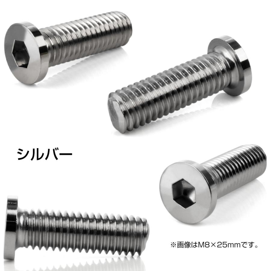 ブレーキ ディスクローター ボルト ヤマハ用 M8×25mm P=1.25 ステンレス フラットヘッド小 シルバー TD0380｜eale｜03