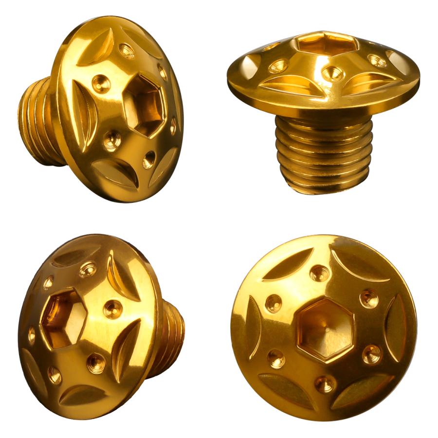 ミラーホールカバーボルト キャップ M10×10mm P1.25 正ネジ 逆ネジ 2個セット ヤマハ車用 スターホールヘッド SUS304 ゴールド TH0184 | ヤマハ発動機 | 01