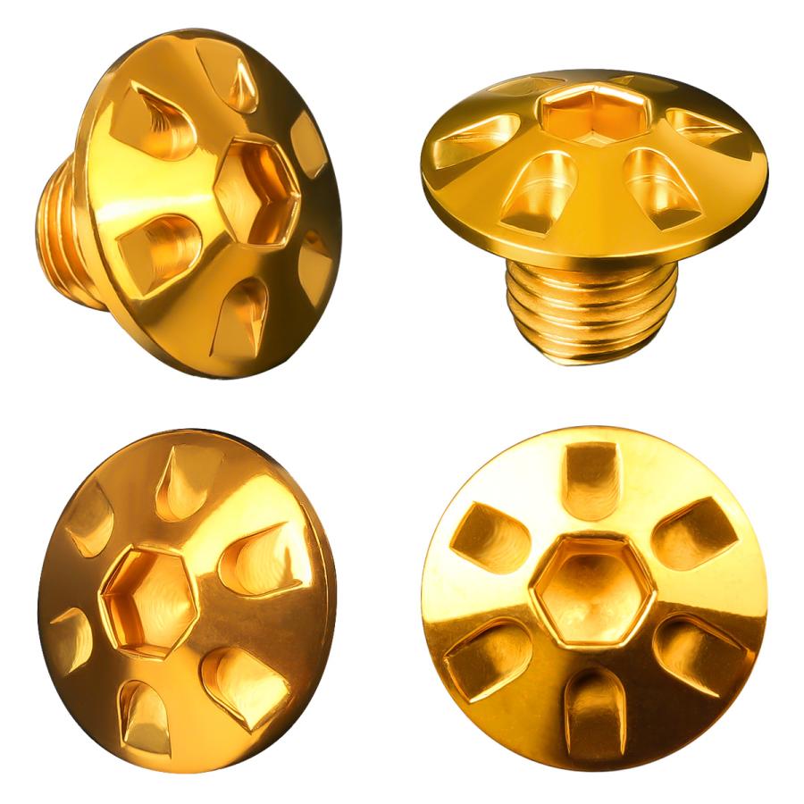 ミラーホールカバーボルト キャップ M10×10mm P1.25 正ネジ 逆ネジ 2個セット ヤマハ車用 デザインヘッド SUS304 ゴールド TH0187 | ヤマハ発動機 | 02