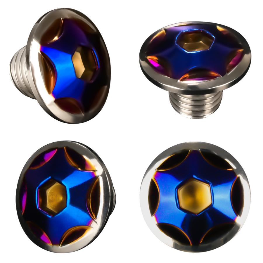 ミラーホールカバーボルト キャップ M10×10mm P1.25 正ネジ 逆ネジ 2個セット ヤマハ車用 スターヘッド SUS シルバー＆ブルー TH0189 | ヤマハ発動機 | 02