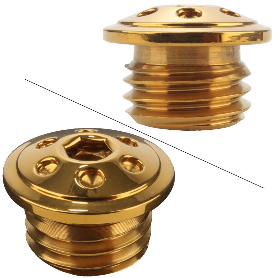 汎用 オイルフィラーキャップ M20 P2.5 ホールヘッド ゴールド SUS304 ステンレス ホンダ ヤマハ カワサキ ドゥカティ等 TH0248 | カワサキ | 01