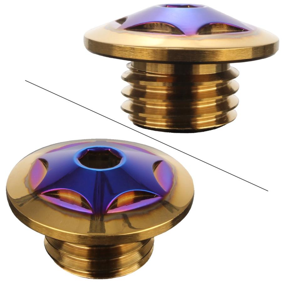 汎用 オイルフィラーキャップ M20 P2.5 スターヘッド CTCゴールド＆ブルー SUS304 ステンレス ホンダ ヤマハ カワサキ ドゥカティ等 TH0260 | カワサキ | 01