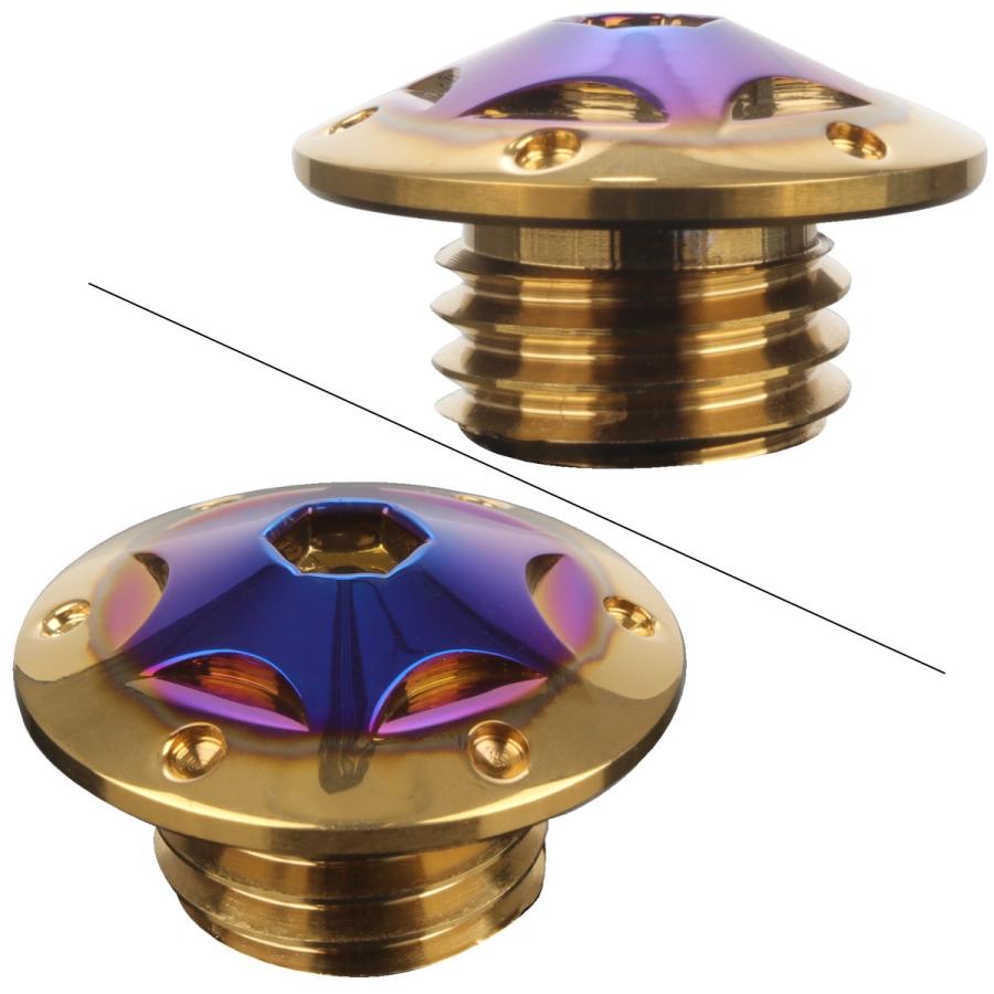 汎用 オイルフィラーキャップ M20 P2.5 スターホールヘッド CTCゴールド＆ブルー SUS304 ステンレス ホンダ ヤマハ カワサキ ドゥカティ等 TH0262 | カワサキ | 01