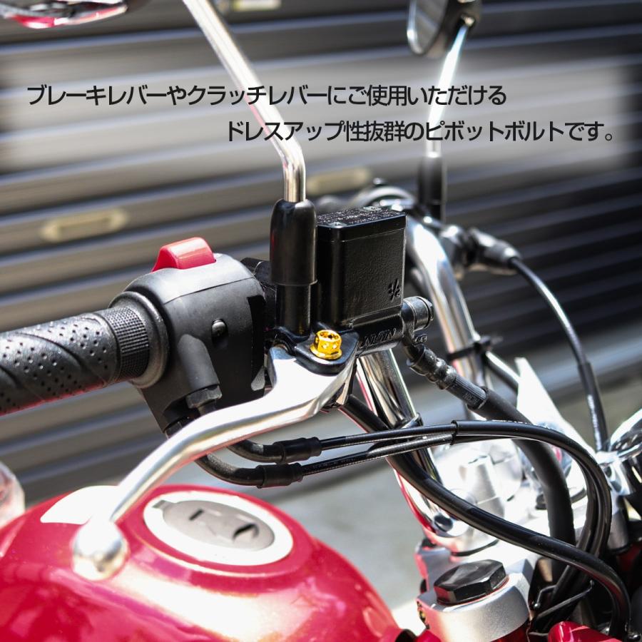 SUSステンレス サイドホールヘッド ブレーキ＆クラッチレバー取付 ピボットボルト Φ8×17mm M6×13mm P=1.00 シルバー TH0524 | ブランド登録なし | 03