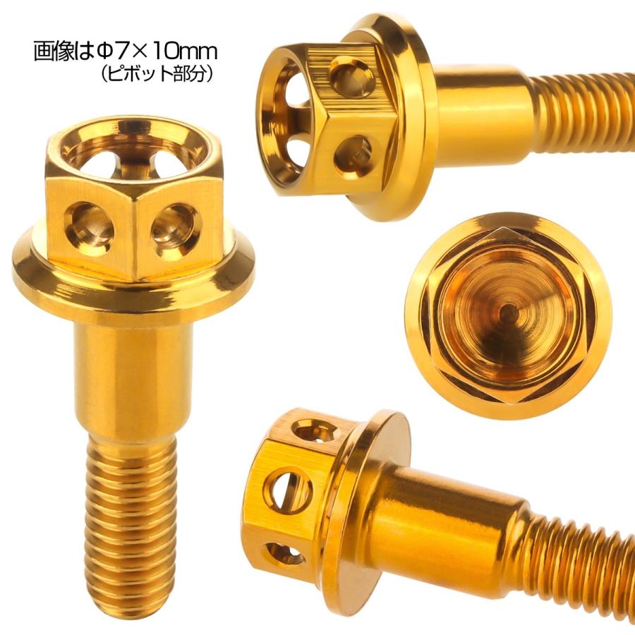 SUSステンレス サイドホールヘッド ブレーキ＆クラッチレバー取付 ピボットボルト Φ7×10mm M6×14mm P=1.00 ゴールド TH0525 | ブランド登録なし | 02