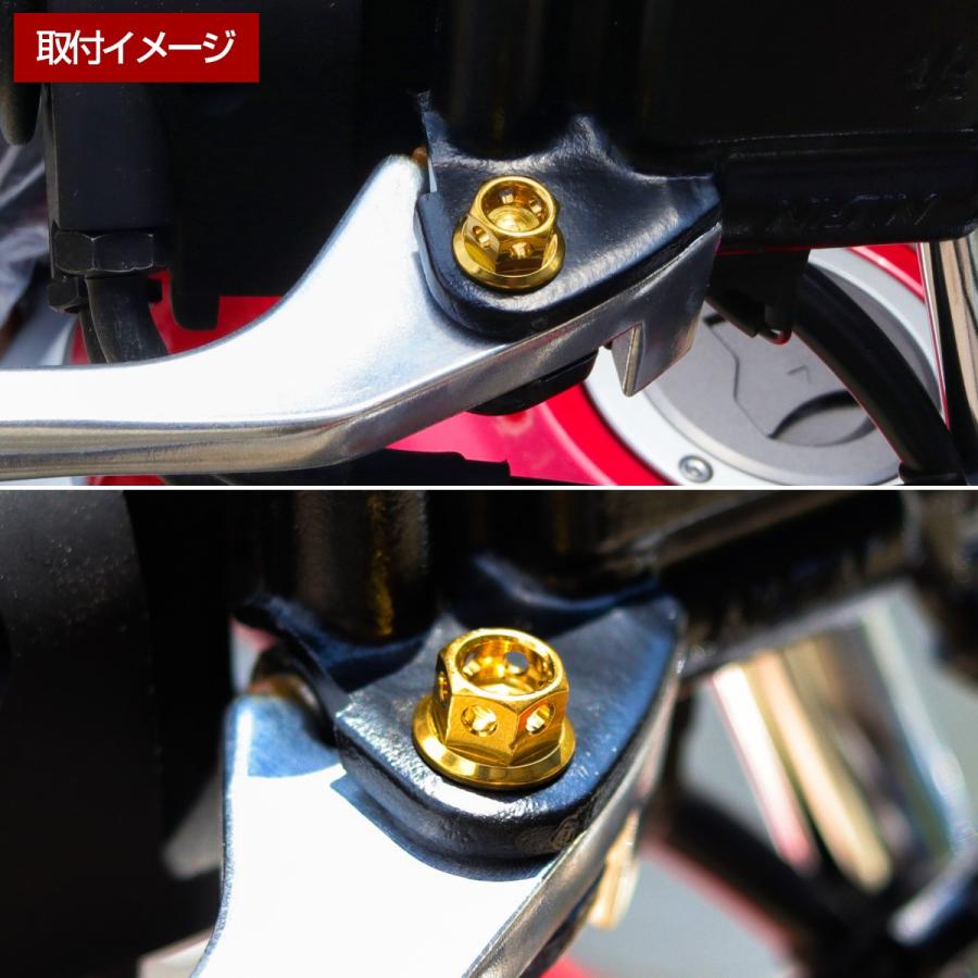 SUSステンレス サイドホールヘッド ブレーキ＆クラッチレバー取付 ピボットボルト Φ7×10mm M6×14mm P=1.00 ゴールド TH0525 | ブランド登録なし | 04