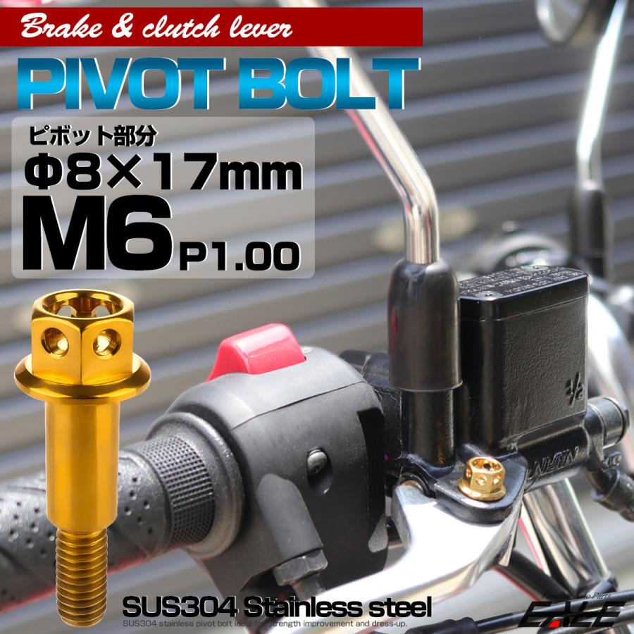 SUSステンレス サイドホールヘッド ブレーキ＆クラッチレバー取付 ピボットボルト Φ8×17mm M6×13mm P=1.00 ゴールド TH0526 | ブランド登録なし | 01