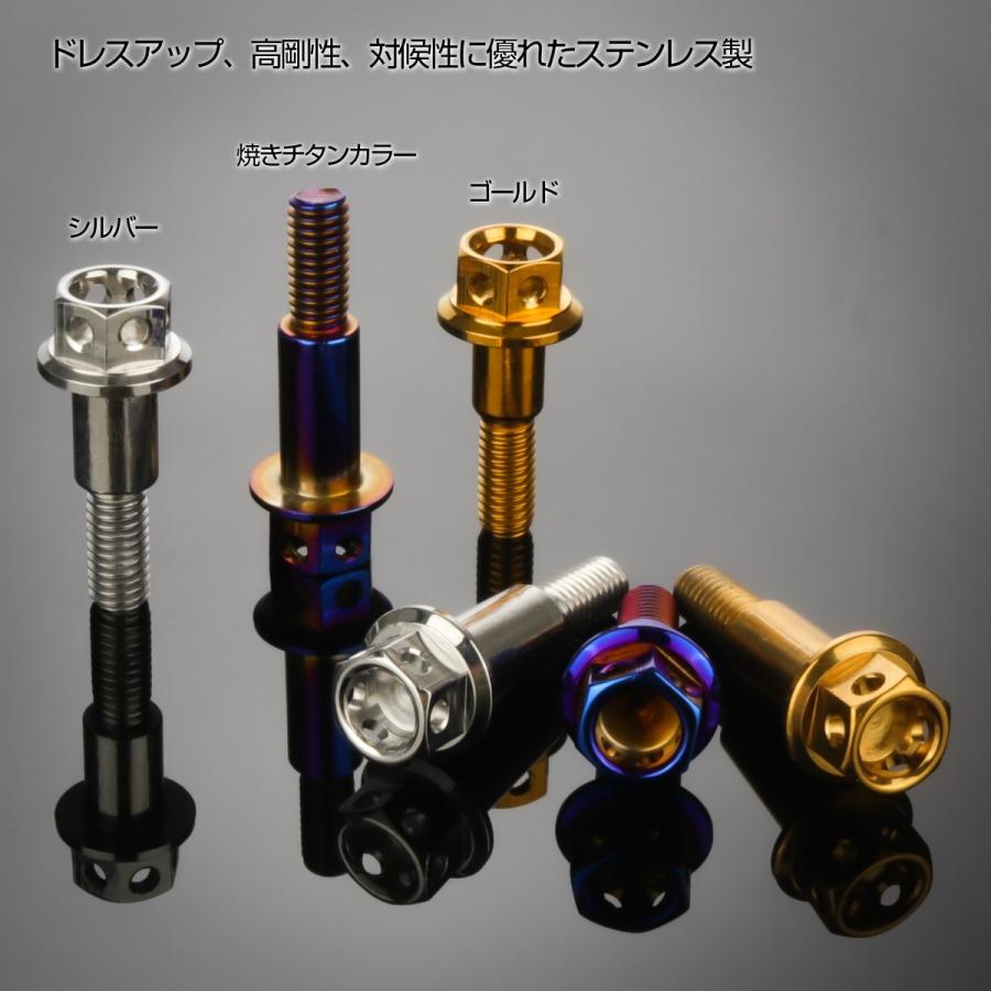 SUSステンレス サイドホールヘッド ブレーキ＆クラッチレバー取付 ピボットボルト Φ8×10mm M6×14mm P=1.00 焼きチタン TH0527 | ブランド登録なし | 05