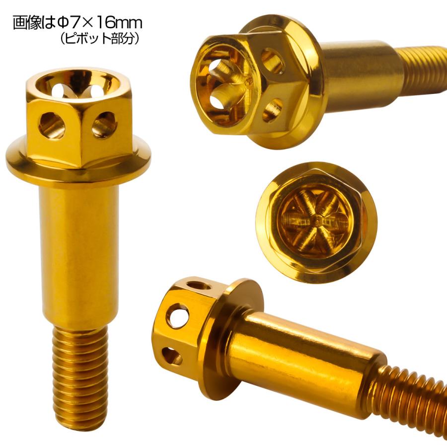 ブレーキレバー クラッチレバー 取付用 ピボットボルト Φ8×10mm M6×13mm P=1.00 ゴールド フラワーヘッド SUS TH0531 | ブランド登録なし | 02