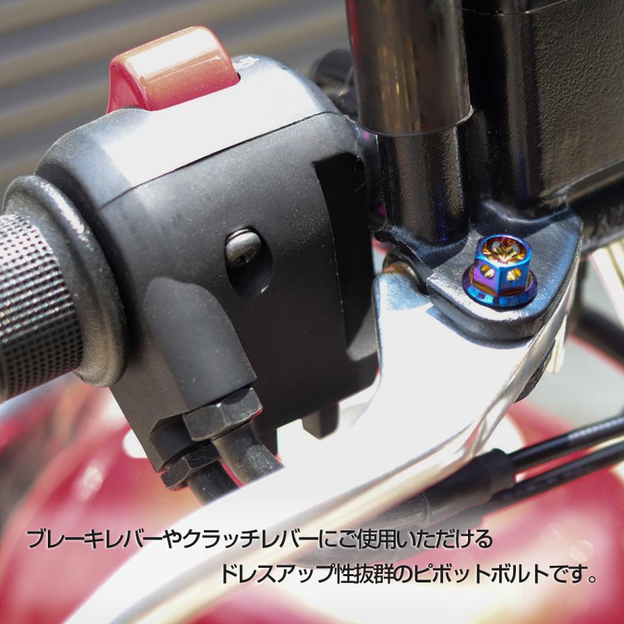 バイク ピボットボルト ブレーキレバー クラッチレバー 軸径8mm M6×13mm P1.00 焼きチタン フラワーヘッド TH0534 | ブランド登録なし | 03