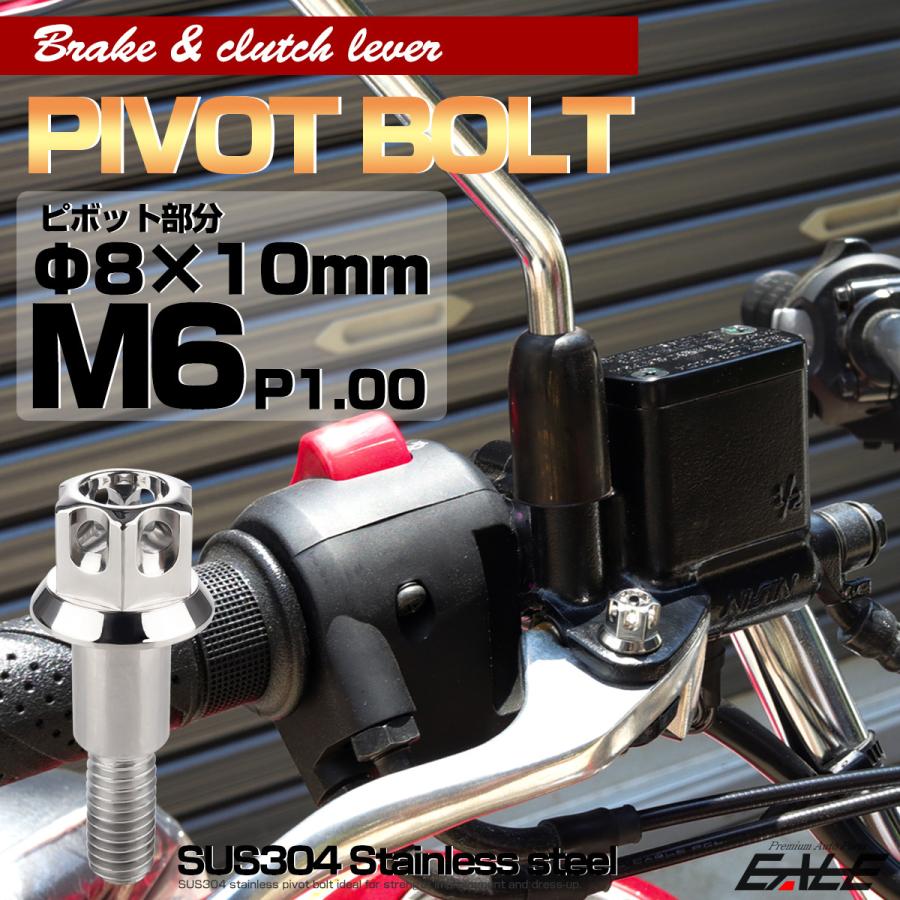 ブレーキレバー クラッチレバー 取付用 ピボットボルト Φ8×10mm M6×13mm P=1.00 シルバー A3ヘッド SUSステンレス TH0535 | ブランド登録なし | 01