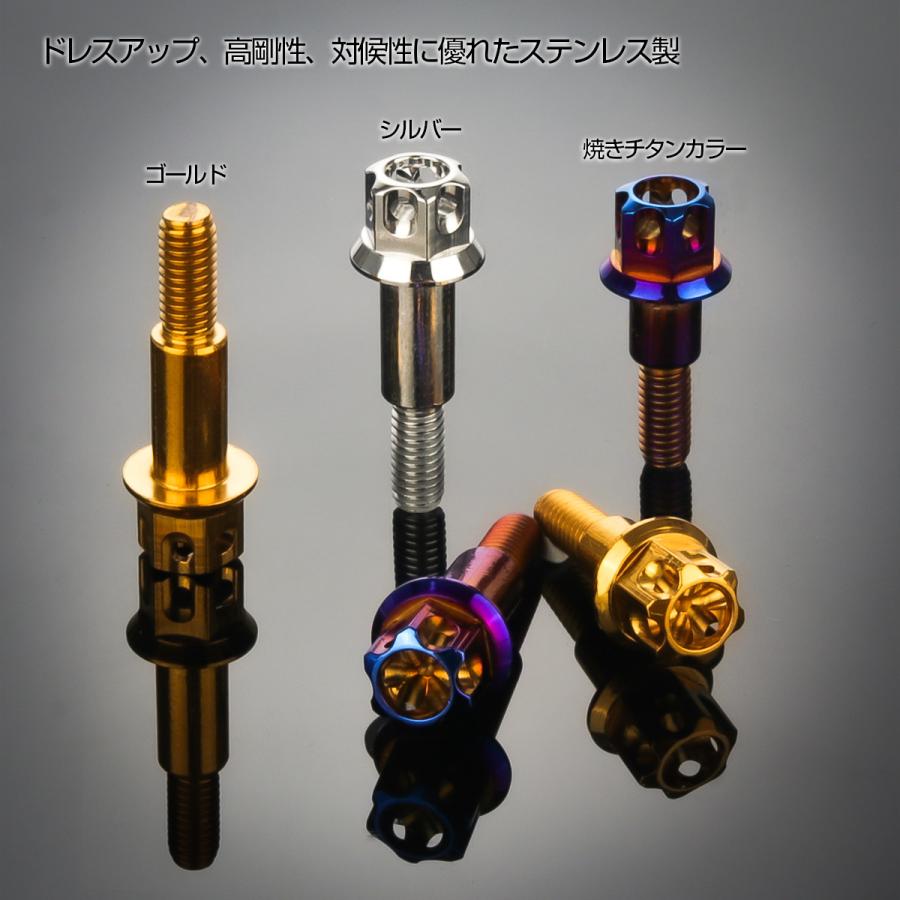 ブレーキレバー クラッチレバー 取付用 ピボットボルト Φ8×10mm M6×13mm P=1.00 シルバー A3ヘッド SUSステンレス TH0535 | ブランド登録なし | 05