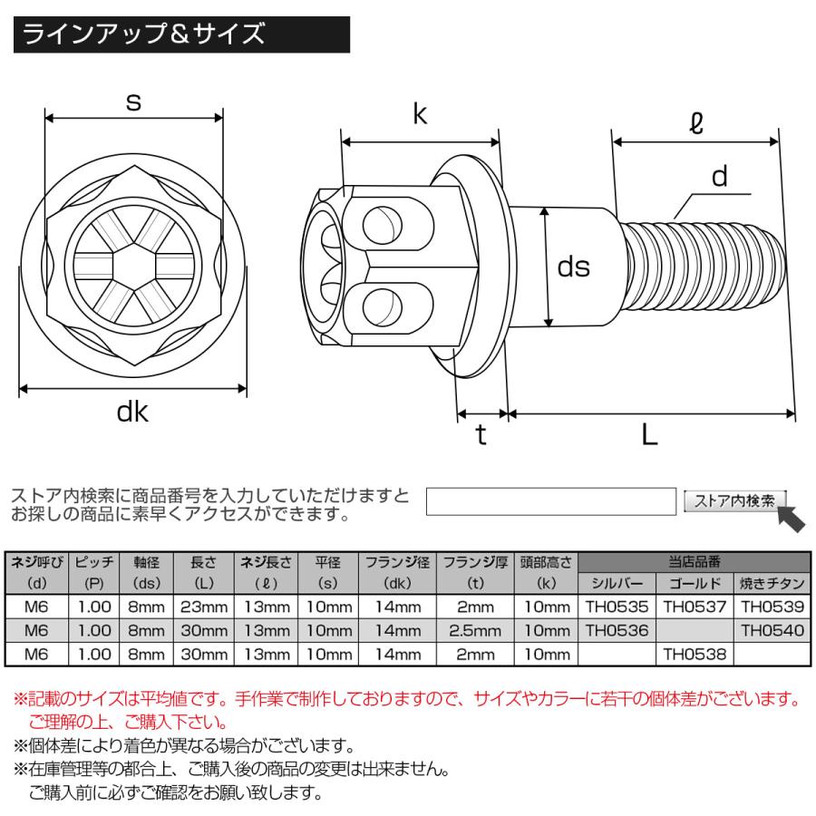 ブレーキレバー クラッチレバー 取付用 ピボットボルト Φ8×10mm M6×13mm P=1.00 シルバー A3ヘッド SUSステンレス TH0535 | ブランド登録なし | 06
