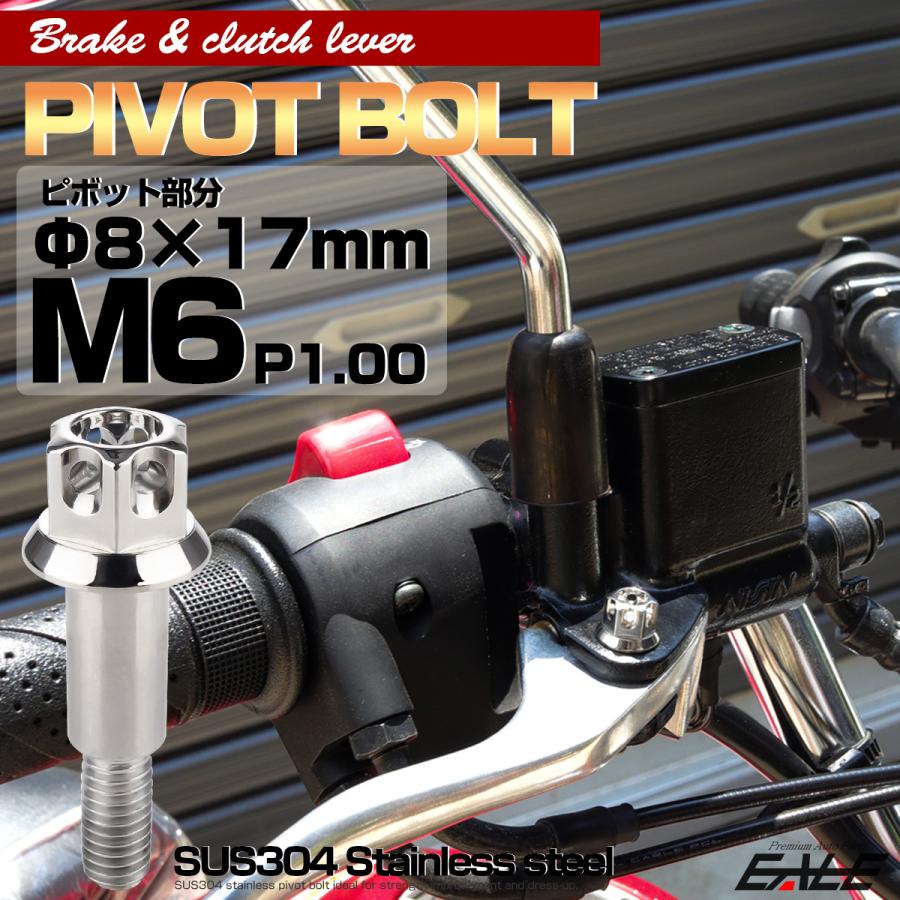バイク ピボットボルト ブレーキレバー クラッチレバー 軸径8mm M6×13mm P1.00 シルバー A3ヘッド TH0536 | ブランド登録なし | 01