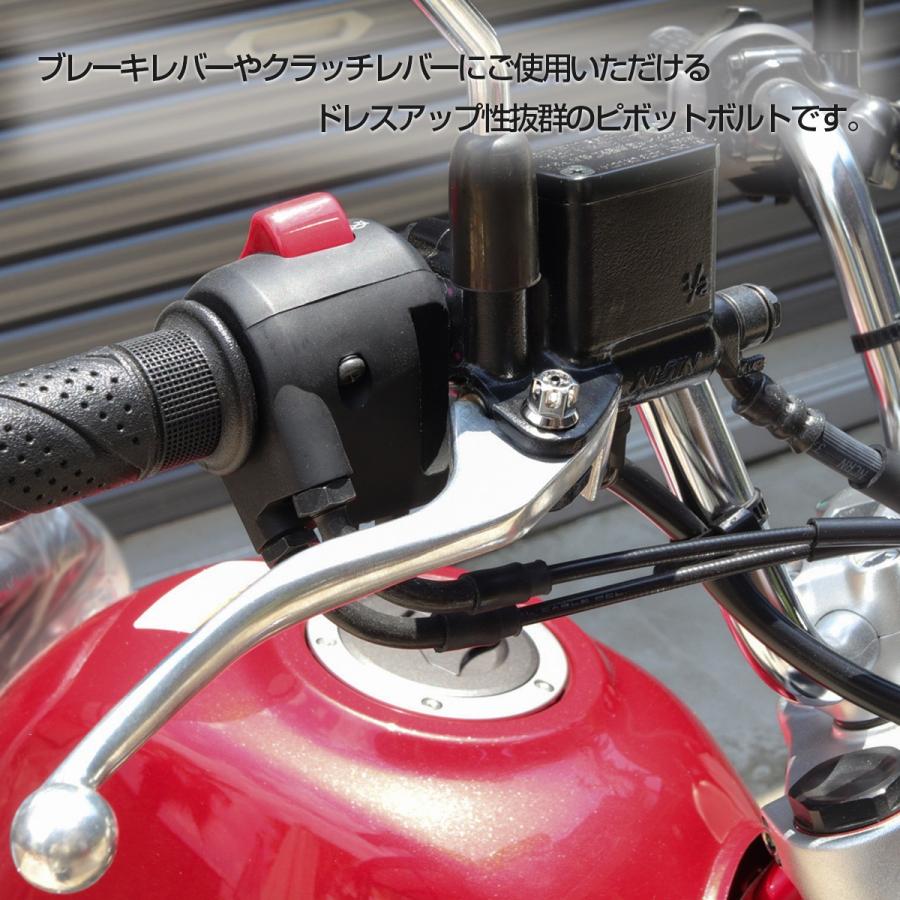 バイク ピボットボルト ブレーキレバー クラッチレバー 軸径8mm M6×13mm P1.00 焼きチタン A3ヘッド TH0540 | ブランド登録なし | 03