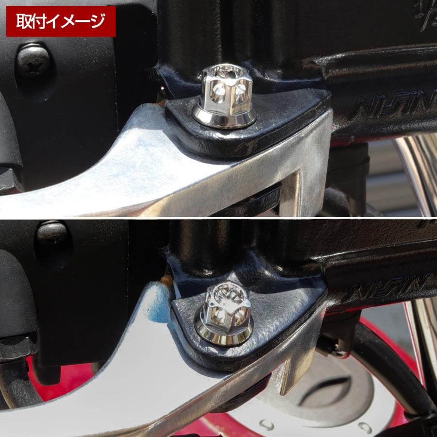 バイク ピボットボルト ブレーキレバー クラッチレバー 軸径8mm M6×13mm P1.00 焼きチタン A3ヘッド TH0540 | ブランド登録なし | 04