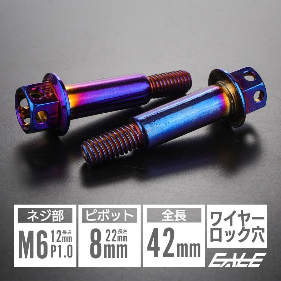 バイクレバー 取付用 ピボットボルト M6 P1.0 ピボット径8mm ステンレス ワイヤーロック穴 焼チタン色 ブルー系 2本セット TH0543 | ブランド登録なし