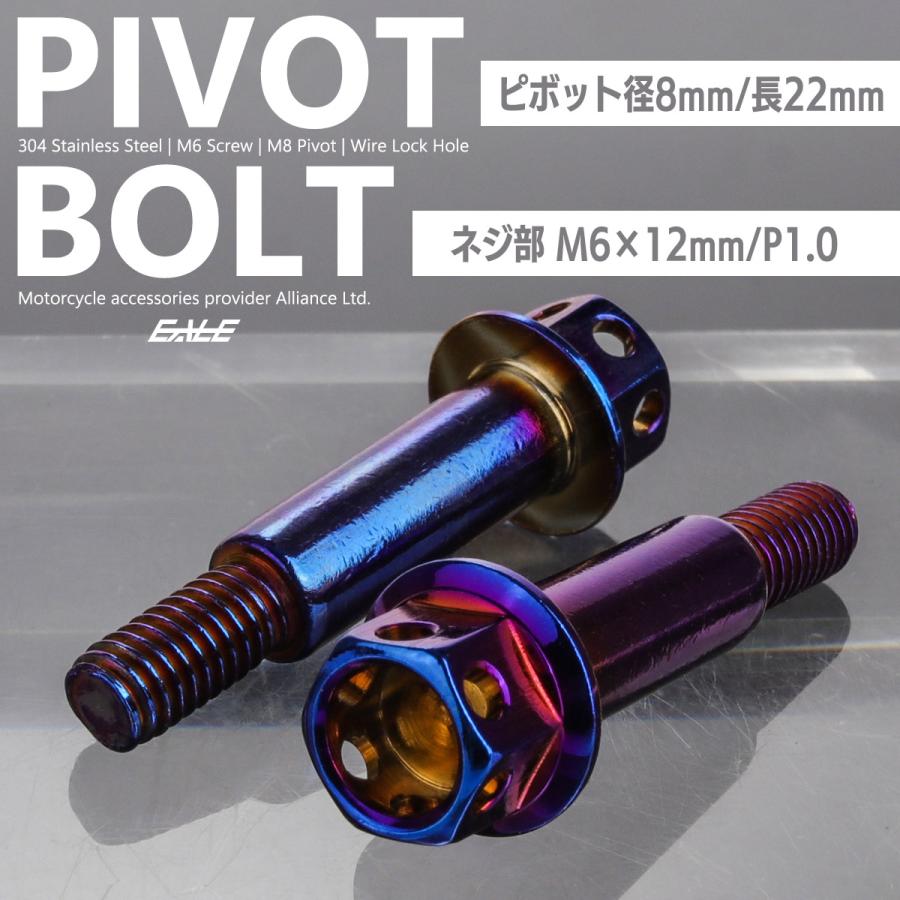 バイクレバー 取付用 ピボットボルト M6 P1.0 ピボット径8mm ステンレス ワイヤーロック穴 焼チタン色 ブルー系 2本セット TH0543 | ブランド登録なし | 01