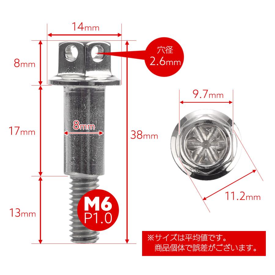 バイク レバー用 ピボットボルト M6 P1.0 ピボット径8mm ステンレス製 ワイヤーロック穴付き 補修 交換 カスタム シルバー 2本セット TH0547 | ブランド登録なし | 05