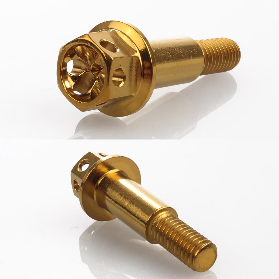 バイク レバー用 ピボットボルト M6 P1.0 ピボット径8mm ステンレス製 ワイヤーロック穴付き 補修 交換 カスタム ゴールド 2本セット TH0548 | ブランド登録なし | 02