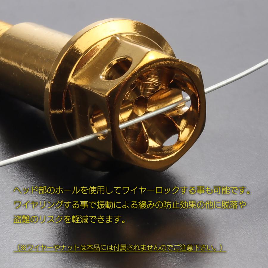 バイク レバー用 ピボットボルト M6 P1.0 ピボット径8mm ステンレス製 ワイヤーロック穴付き 補修 交換 カスタム ゴールド 2本セット TH0548 | ブランド登録なし | 04