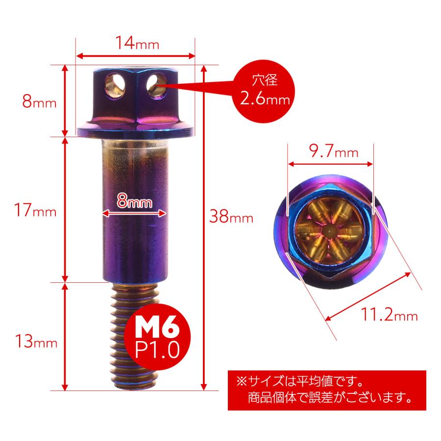 バイク レバー用 ピボットボルト M6 P1.0 ピボット径8mm ステンレス製 ワイヤーロック穴付き 補修 交換 カスタム 焼チタン 2本セット TH0549 | ブランド登録なし | 05
