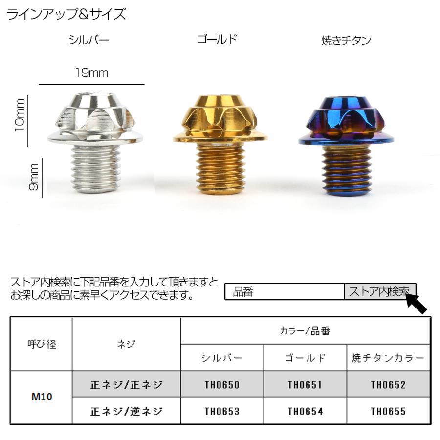 M10 ミラーホール カバーキャップ ボルト シルバー 正ネジ 逆ネジ 2本