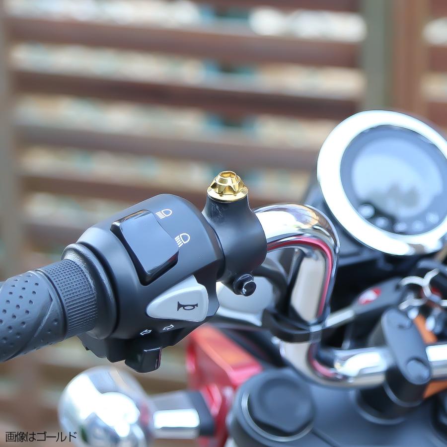 M10 ミラーホール カバーキャップ ボルト ゴールド 正ネジ 逆 M10 ミラーホール カバーキャップ ボルト ゴールド 正ネジ 逆