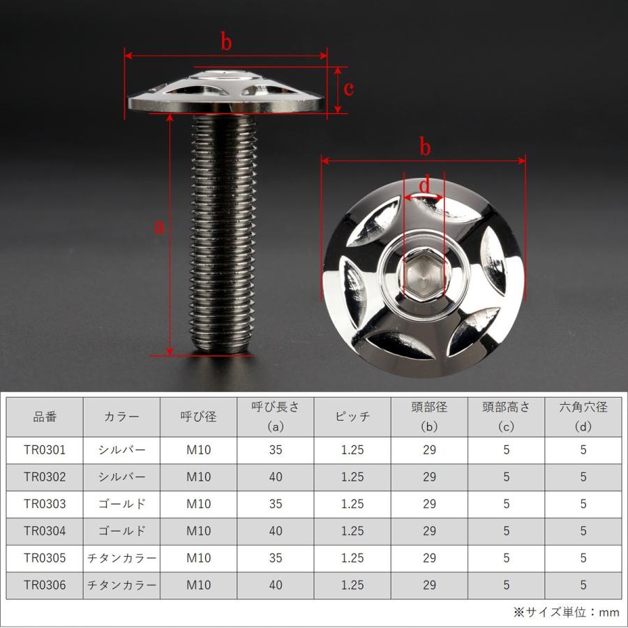 M10×40mm P1.25 ボタンボルト ワイドフランジ スターヘッド ステンレス SUS304 シルバー TR0302 | ブランド登録なし | 02