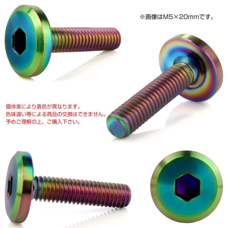 フラットヘッドボルト M6x35mm P1.00 ボタンボルト ステンレスボルト マットタイプ レインボーグリーン 虹色 TR0326 | ブランド登録なし | 02