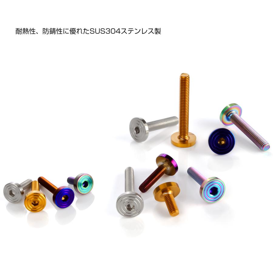 4×15mm P0.7 シェルヘッド フラット ステンレスボルト 六角穴付 マットタイプ SUS304 シルバー TR0815 | ブランド登録なし | 03