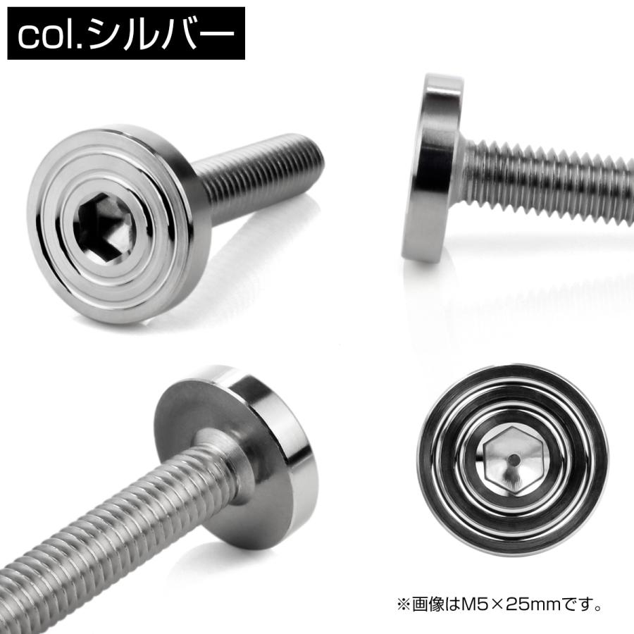 6×40mm P1.0 シェルヘッド フラット ステンレスボルト 六角穴付 マットタイプ SUS304 シルバー TR0832 | ブランド登録なし | 02