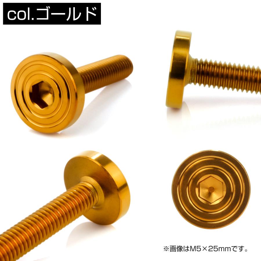 5×20mm P0.8 シェルヘッド フラット ステンレスボルト 六角穴付 マットタイプ SUS304 ゴールド TR0840 | ブランド登録なし | 02
