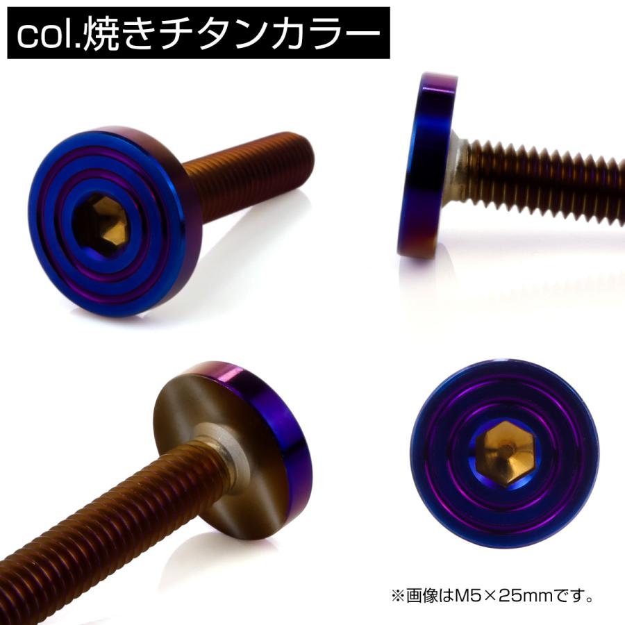 ステンレスボルト シェルヘッド フラット M6×15mm P1.0 六角穴付 SUS304 マットタイプ 焼きチタンカラー TR0865｜eale｜03