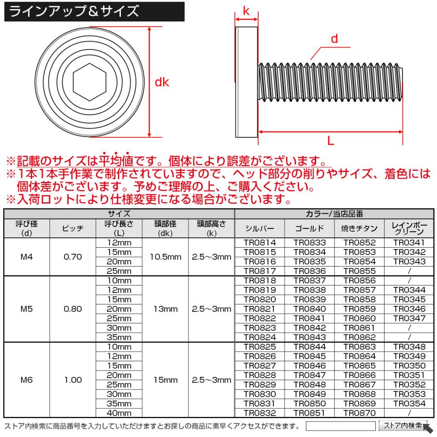 6×20mm P1.0 シェルヘッド フラット ステンレスボルト 六角穴付 マットタイプ SUS304 焼きチタンカラー TR0866 | ブランド登録なし | 04