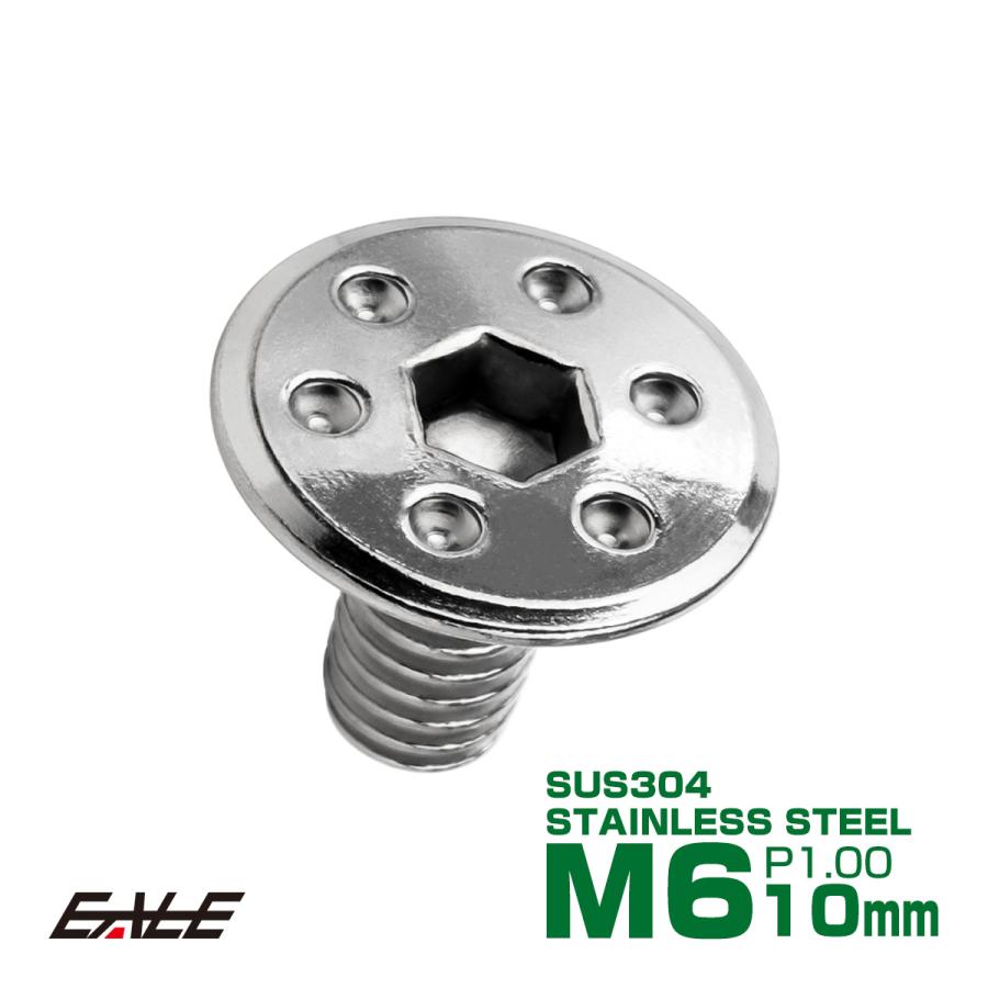 ステンレスボルト M6×10mm P1.0 ホールヘッド フラット 六角穴付 ボタンボルト SUS304 シルバー TR0945 | ブランド登録なし