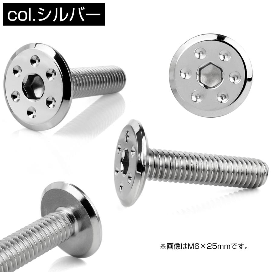 ステンレスボルト M6×12mm P1.0 ホールヘッド フラット 六角穴付 ボタンボルト SUS304 シルバー TR0946 | ブランド登録なし | 02