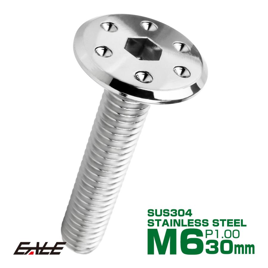 ステンレスボルト M6×30mm P1.0 ホールヘッド フラット 六角穴付 ボタンボルト SUS304 シルバー TR0950 | ブランド登録なし
