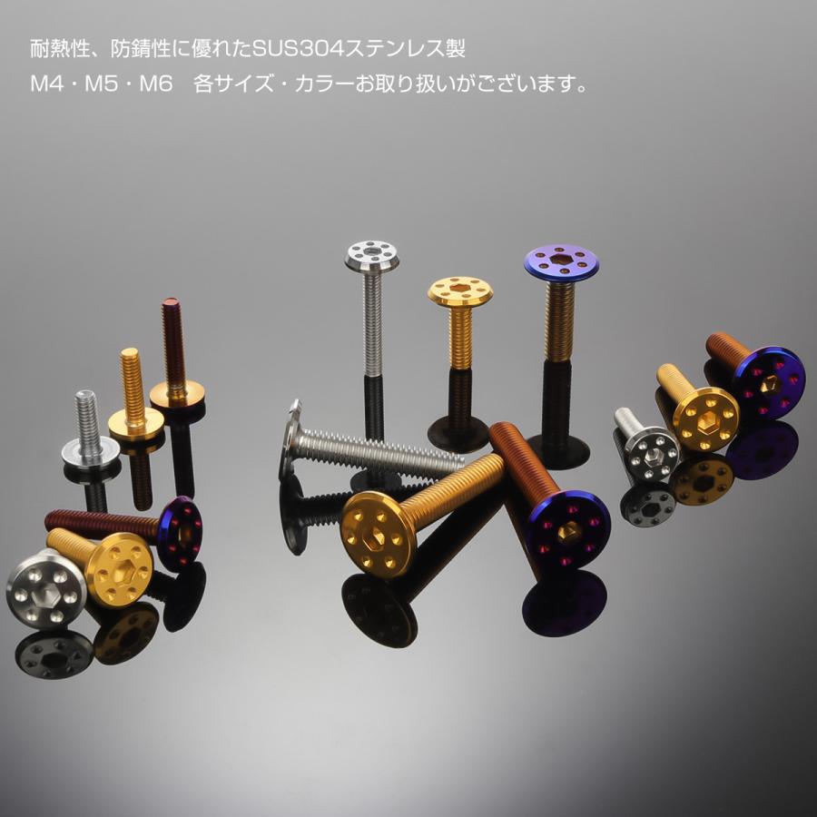 ステンレスボルト M6×30mm P1.0 ホールヘッド フラット 六角穴付 ボタンボルト SUS304 シルバー TR0950 | ブランド登録なし | 03