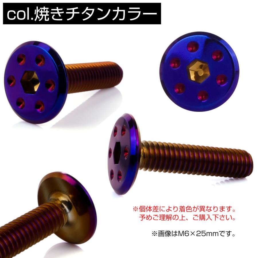 ステンレスボルト M6×12mm P1.0 ホールヘッド フラット 六角穴付 ボタンボルト SUS304 焼きチタンカラー TR0978 | ブランド登録なし | 02