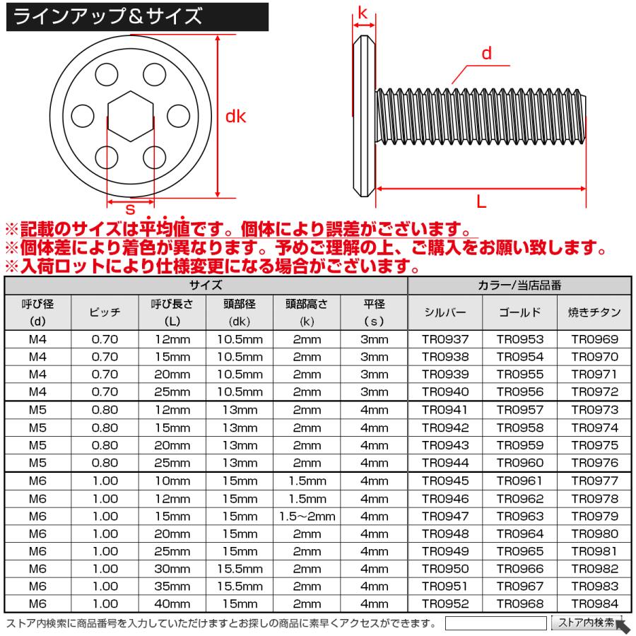 ステンレスボルト M6×12mm P1.0 ホールヘッド フラット 六角穴付 ボタンボルト SUS304 焼きチタンカラー TR0978 | ブランド登録なし | 04
