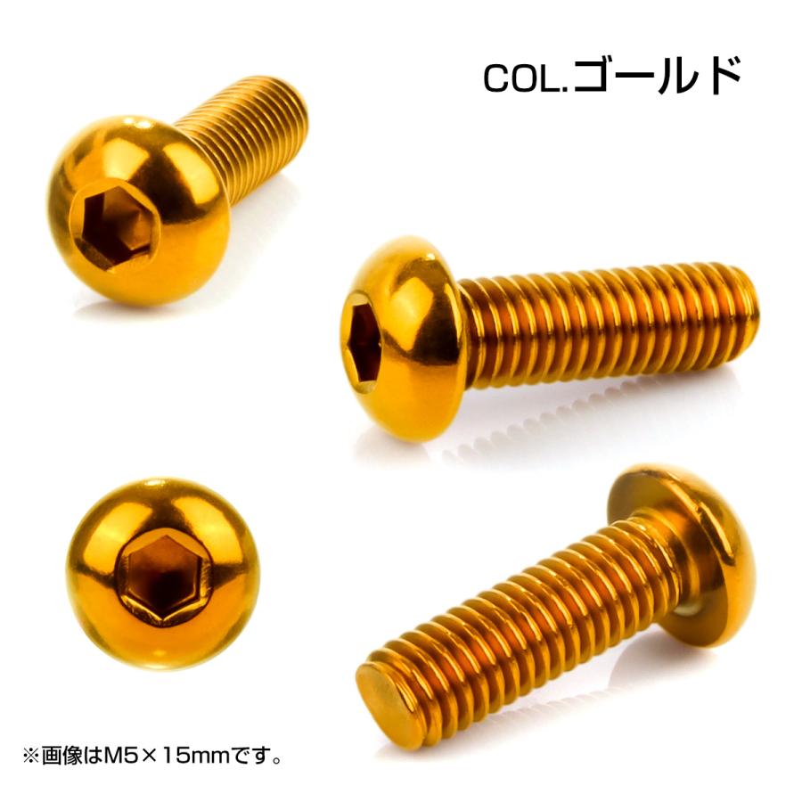 ボタンボルト M5×12mm P0.8 SUS304 ステンレスボルト 六角穴 ゴールド TR0986 | ブランド登録なし | 02
