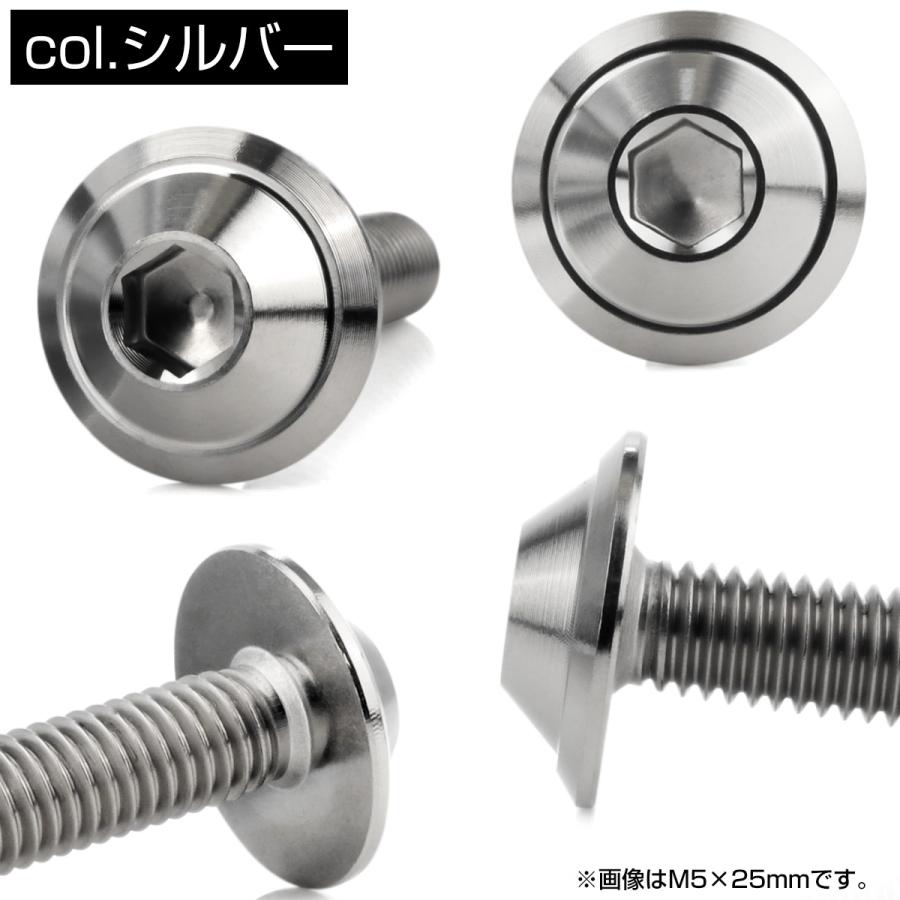 ボタンボルト M5×20mm P0.8 デザインヘッド SUS304 ステンレス 六角穴 カスタムボルト マット シルバー TR1019 | ブランド登録なし | 02