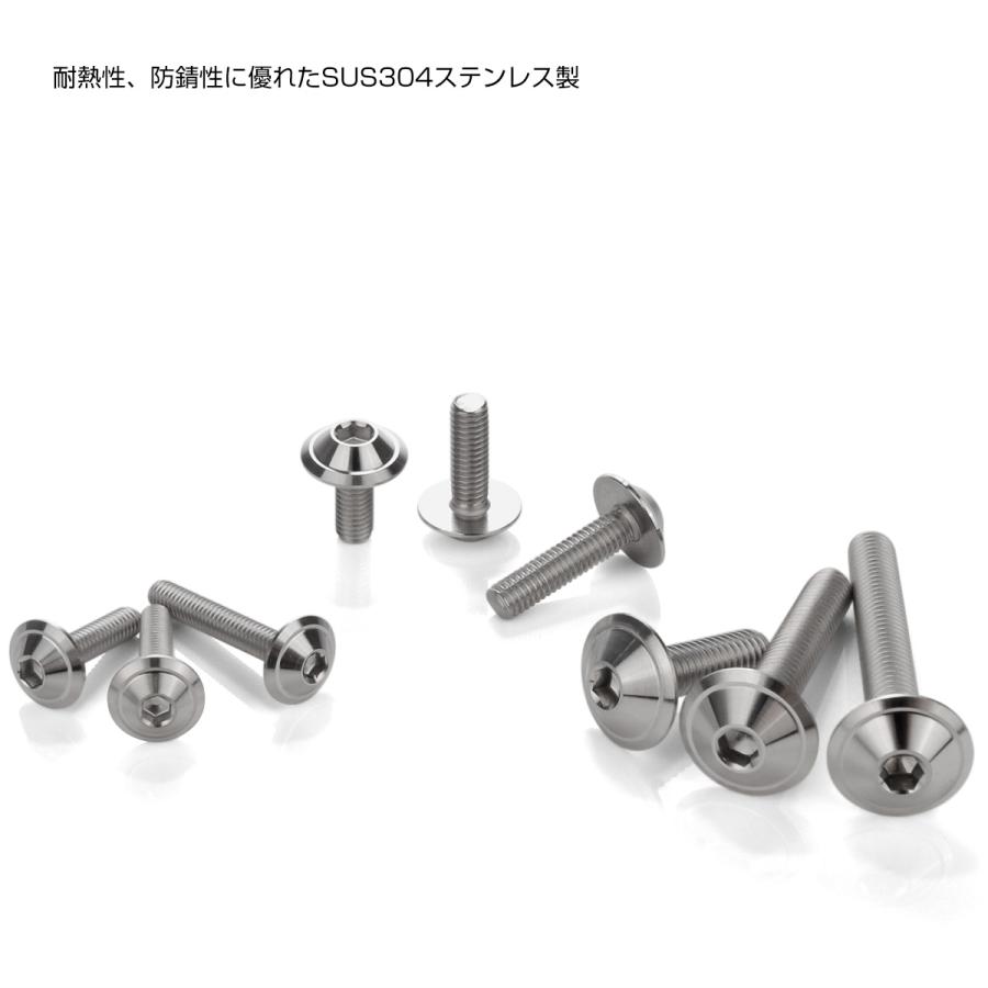 ボタンボルト M5×20mm P0.8 デザインヘッド SUS304 ステンレス 六角穴 カスタムボルト マット シルバー TR1019 | ブランド登録なし | 03