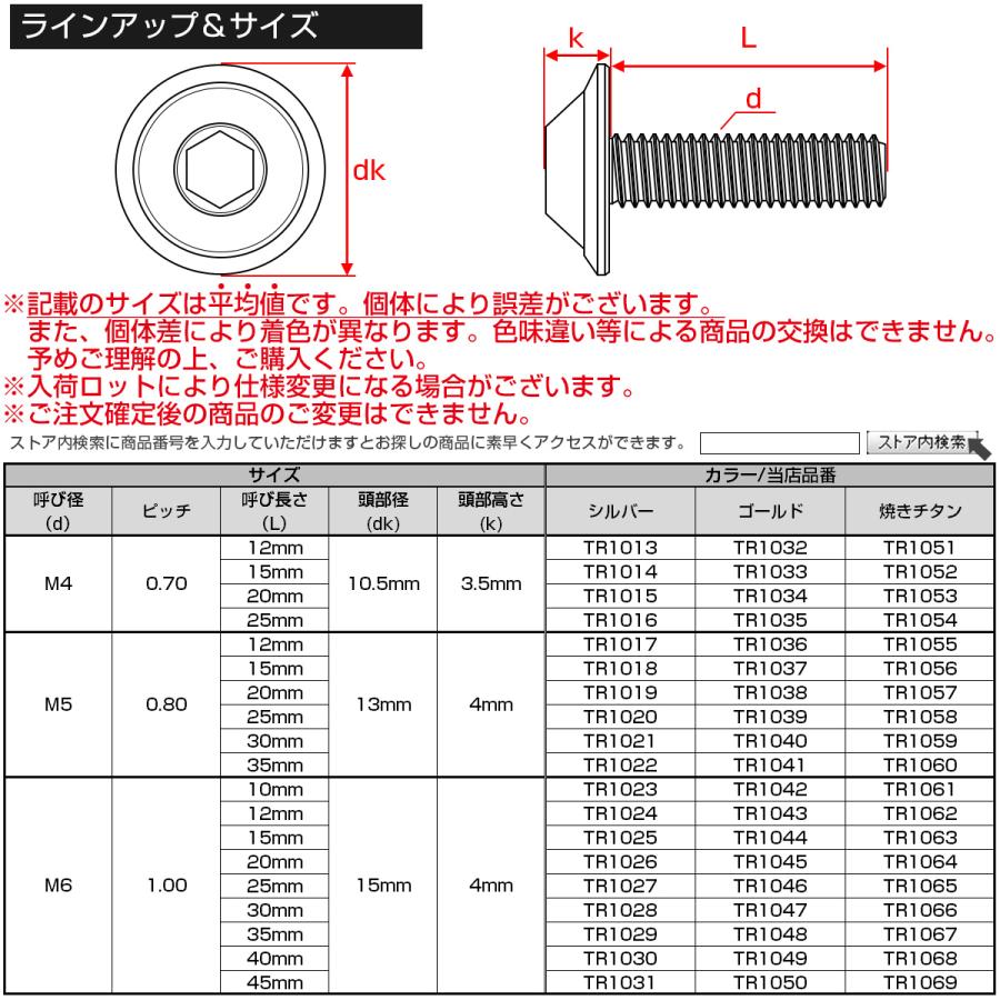ボタンボルト M6×15mm P1.00 デザインヘッド SUS304 ステンレス 六角穴 カスタムボルト マット シルバー TR1025 | ブランド登録なし | 04